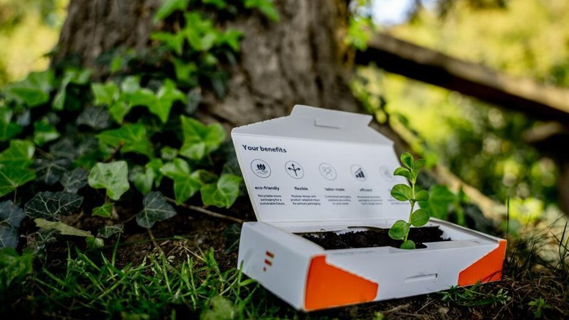 [Translate to Polski:] 