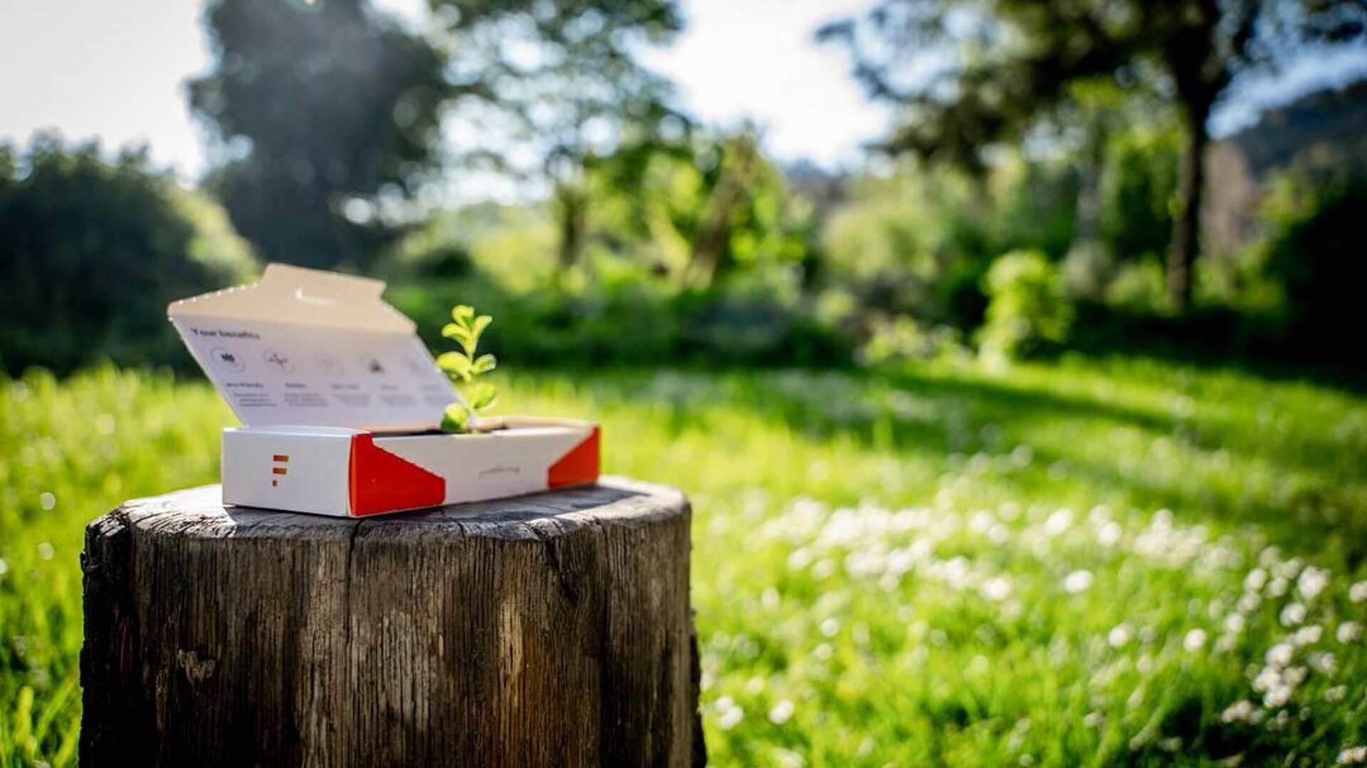 [Translate to English:] 